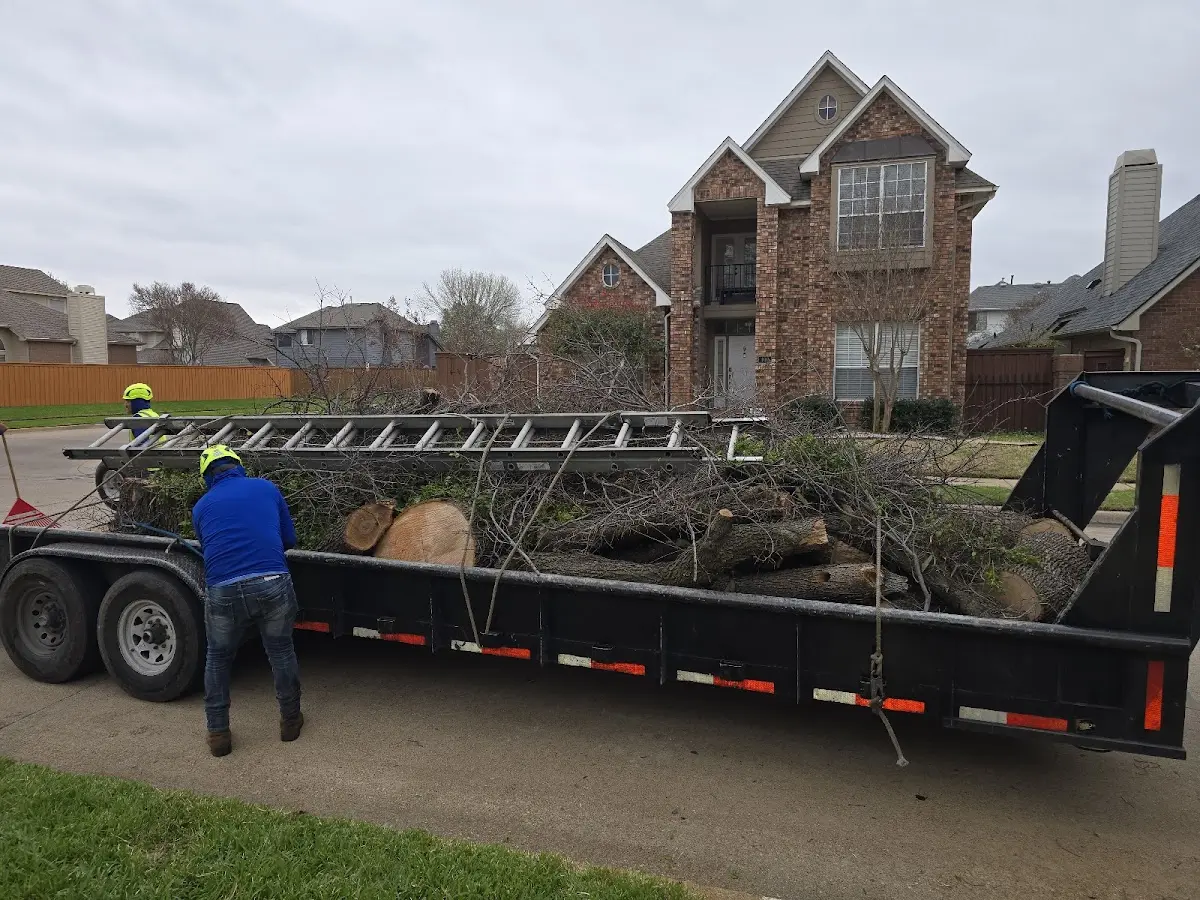 Expert Tree Pest Control with proper safety equipment in Oglethorpe